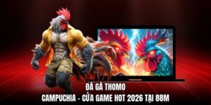 Đá Gà Thomo Campuchia - Cửa Game Hot 2026 Tại 88M